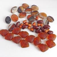 Mixed bead lot for jewelry making / beading / craft supply.  Lot consists of 14 pieces of oval-shaped banded agate beads (black orange white tones with various matrix patterns). Measures approximately 7/8" to 1" in length and 3/4" in width - drilled top to bottom. 12 pieces of burnt orange seashell shaped beads. Measures approximately 1" at widest point and 3/4" in length - drilled top to bottom 9 bright orange organically shaped freshwater pearl beads - drilled 8 dark reddish-brown dried bean beads