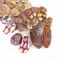 Large Mixed Natural Stone Bead Lot for Jewelry Making / Beading - Beige Fossil Coral, Rusty Brown Agates, Picture Jasper - Earth Tone Colors