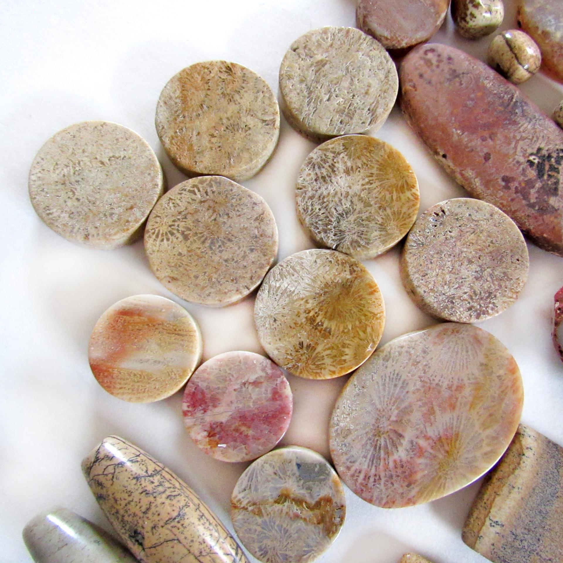 Large Mixed Natural Stone Bead Lot for Jewelry Making / Beading - Beige Fossil Coral, Rusty Brown Agates, Picture Jasper - Earth Tone Colors